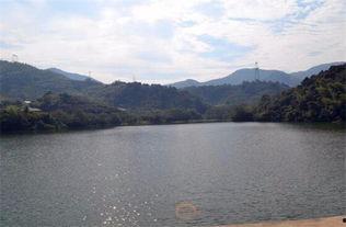 长春水库爆料视频最新,揭秘惊人真相!